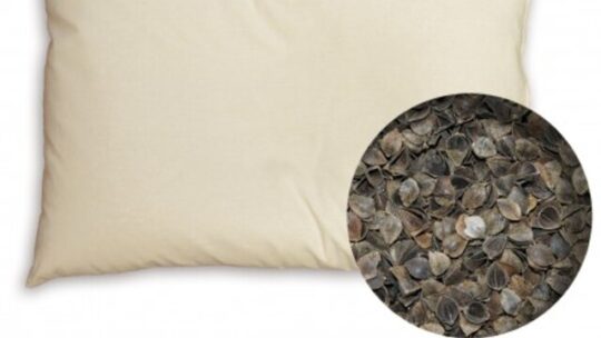 Comment les oreillers sarrasin peuvent-ils transformer vos nuits ?