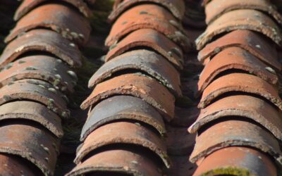 Une fuite sur une toiture, même minime, peut en toute célérité devenir un problème ennuyeux, notamment pour les propriétaires. Pour ne pas endommager votre logement, il vaut mieux cerner l’origine de la fuite. La détection des infiltrations d’eau cachées peut être confiée à un vrai professionnel. Ce dernier posera un diagnostic ciblé dans le but de déterminer la cause de la fuite. Dans cet article, nous partageons avec vous les meilleures astuces pour effectuer la recherche de fuite sans démolition, grâce à des techniques de pointe et des produits de colmatage très efficaces. Commencez toujours par identifier précisément l’origine de la fuite La précision du diagnostic et l’efficacité des travaux correctifs dépendent directement d’une recherche de fuite non destructive Essonne 91. En effet avant d’envisager l’application de tout produit d’étanchéité, il est impératif de localiser avec exactitude la source de l’infiltration. En ce sens, votre artisan pourra vous suggérer une détection de fuite non destructive grâce à des outils de pointe. Il fera en sorte d’inspecter toute la toiture pour trouver la fuite. Une fuite de toiture n’apparaît pas toujours à l’endroit visible. Dans ce cas, l’eau risque de suivre un parcours complexe entre les tuiles, les écrans de sous-toiture et les éléments de charpente. Il est donc judicieux de recourir à une recherche de fuite non destructive, qui permet une localisation fiable sans altérer les structures. Grâce à des technologies que votre professionnel utilisera telles que la caméra thermique, la détection par gaz traceur ou encore l’inspection par drone, L’anomalie ou la fissure peut être détectée sans casse. Quel produit utiliser pour colmater une fuite de toiture ? Le colmatage d’une fuite de toiture n’est pas un traitement difficile pour un spécialiste en détection de fuite. Bien entendu, après avoir effectué la recherche de fuite, le dépanneur pourra cibler et identifier la zone concernée. De telle manière, le choix du bon produit dépend du type de toiture et surtout de la nature de la fuite. Parmi les meilleures solutions qui vous garantissent un colmatage efficace et durable de la fuite de toiture, on note le mastic. Sans aucun doute, le mastic d'étanchéité toiture est le meilleur produit pour résoudre un problème de fuite. Grâce à sa grande adaptabilité, le mastic d’étanchéité est idéal pour colmater les microfissures et renforcer les raccords défectueux autour des ouvertures et éléments de toiture. Il est très efficace car il résiste aux intempéries et s’applique au pistolet extrudeur, tout en offrant une bonne élasticité dans le temps. En outre, on cite la solution du ruban ou scotch bitumineux. Particulièrement adapté aux fuites ponctuelles sur les toitures plates ou en zinc, le ruban bitumineux se pose facilement, même sur surface humide. Ainsi, il permet un colmatage rapide mais parfois temporaire, selon le cas. On distingue également la résine d’étanchéité liquide. Ce produit, souvent à base de polyuréthane ou d’acrylique, est idéal pour les zones plus étendues ou poreuses. La résine forme une membrane souple et résistante, parfaitement adaptée aux toitures plates, aux gouttières ou aux relevés d’étanchéité. Dans le même contexte, le professionnel peut vous recommander l’astuce du ciment d’étanchéité. Utilisé pour résoudre les problèmes de fuite sur les toitures en béton ou les solins fissurés, le ciment d’étanchéité est un mortier hydrofuge renforcé. Bien qu’il assure une protection optimale contre l’eau, il doit impérativement être appliqué sur une surface nettoyée et exempte d’humidité. Recherche de fuite non destructive Essonne 91