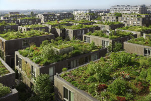 Photo d'immeubles avec des toits végétalisés.