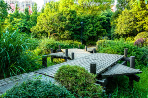 Transformez votre jardin maison en oasis naturelle