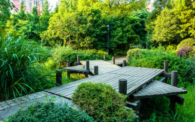Transformez votre jardin maison en oasis naturelle